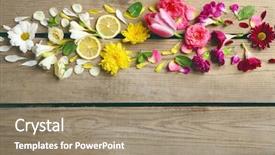  Presentation with pink flowers - Slide deck with green pink - abstract background with beautiful flowers background and a coral colored foreground