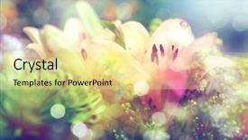  Presentation with pink flowers - Slide deck consisting of green pink - beautiful flowers made with color background and a blonde colored foreground