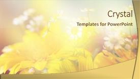  Presentation with color pink - Beautiful PPT theme featuring green pink - beautiful flowers made with color backdrop and a cream colored foreground