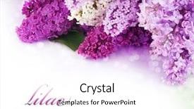  Presentation with border pink - Presentation theme enhanced with green pink - spring lilac border isolated background and a white colored foreground