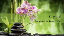 Presentation with zen stones - PPT theme consisting of green pink - zen basalt stones orchid background and a yellow colored foreground