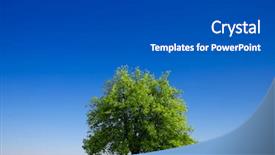  Presentation with law blue sky scales of justice - Colorful slide deck enhanced with green planet - tree and blue sky backdrop and a dark gray colored foreground