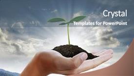  Presentation with green industries plant - PPT layouts with green plant in a hand background and a  colored foreground