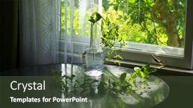  Presentation with water life - PPT theme consisting of green-plant-in-glass-water background and a tawny brown colored foreground