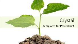  Presentation with soil - Presentation theme having green-plant-in-the-soil background and a blonde colored foreground