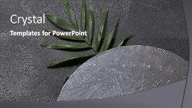  Presentation with dark green - Amazing presentation theme having green-plant-leaf-on-dark backdrop and a dark gray colored foreground