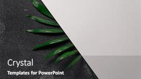  Presentation with dark green - Slide set enhanced with green-plant-leaf-on-dark background and a dark gray colored foreground