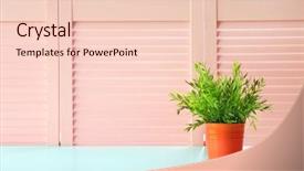  Presentation with green screen - Cool new presentation with green plant on pink folding screen background backdrop and a lemonade colored foreground