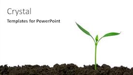  Presentation with white green - Slide set featuring green-plant-on-white-background background and a white colored foreground