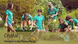  Presentation with community day - Cool new presentation theme with green plant tree - happy friends gardening backdrop and a gold colored foreground