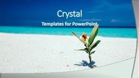  Presentation with green leaves - Theme having green plant with long leaves background and a ocean colored foreground