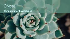  Presentation with home gardening - Audience pleasing presentation design consisting of green-plant-with-red-tips backdrop and a ocean colored foreground