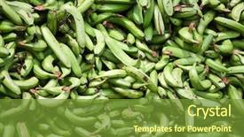  Presentation with banana - Amazing PPT theme having green plantains bananas backdrop and a tawny brown colored foreground