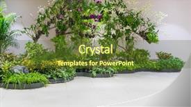  Presentation with plant - Colorful PPT theme enhanced with green plants - plant in office building backdrop and a tawny brown colored foreground