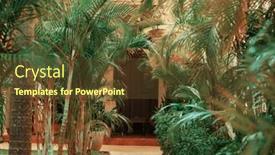  Presentation with summer flowers - Slide set having green-plants-and-flowers background and a tawny brown colored foreground