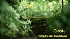  Presentation with green nature - PPT theme with green-plants-and-grass background and a tawny brown colored foreground