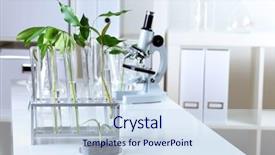  Presentation with biology - Colorful PPT theme enhanced with green plants and scientific equipment backdrop and a  colored foreground