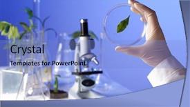  Presentation with scientific - Amazing slides having green plants and scientific equipment in biology laborotary backdrop and a light blue colored foreground