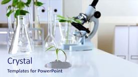  Presentation with biology - Presentation theme featuring green plants and scientific equipment background and a sky blue colored foreground