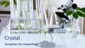  Presentation with medical biology - Audience pleasing presentation theme consisting of green plants and scientific equipment backdrop and a sky blue colored foreground