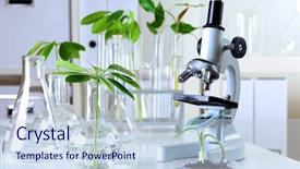  Presentation with biology - Presentation theme featuring green plants and scientific equipment background and a sky blue colored foreground