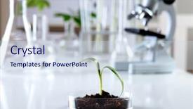  Presentation with biology - Beautiful presentation design featuring green plants and scientific equipment backdrop and a  colored foreground