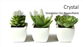  Presentation with flower pots - Amazing PPT theme having green plants in flower pots backdrop and a white colored foreground