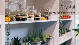  Presentation with green glass - PPT layouts with green-plants-in-glass-jar background and a coral colored foreground