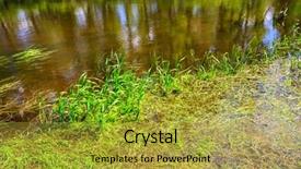  Presentation with earth water and plants - Presentation theme enhanced with green plants in water near background and a yellow colored foreground