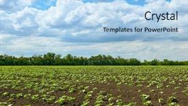  Presentation with beautiful green - Cool new presentation theme with green plants on black soil backdrop and a light blue colored foreground