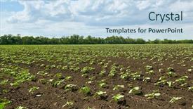  Presentation with agricultural - Amazing slide deck having green plants on black soil backdrop and a sky blue colored foreground