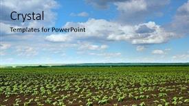  Presentation with beautiful green - Slide set featuring green plants on black soil background and a light blue colored foreground
