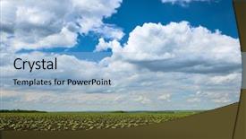  Presentation with beautiful green - Presentation design having green plants on black soil background and a light blue colored foreground