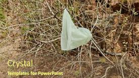  Presentation with green city - Presentation having green-plastic-bag-in-bush background and a tawny brown colored foreground