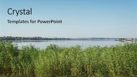  Presentation with blue green - Slides featuring green reeds near the river background and a light blue colored foreground