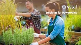  Presentation with employees - PPT layouts consisting of green retailing - garden center employees background and a coral colored foreground