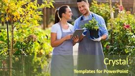  Presentation with employees - Colorful theme enhanced with green retailing - garden center employees backdrop and a tawny brown colored foreground