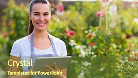  Presentation with using digital tablet - PPT theme consisting of green retailing - garden center worker using digital background and a tawny brown colored foreground