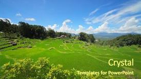 Presentation with storm clouds - Cool new slides with toraja - green rice field and storm backdrop and a tawny brown colored foreground