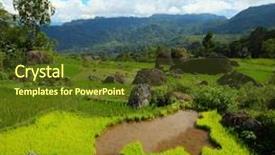  Presentation with rice field - Beautiful theme featuring sulawesi - green rice field with rocks backdrop and a tawny brown colored foreground