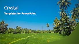  Presentation with systems - Colorful slides enhanced with green rice fields complex cultivation backdrop and a gray colored foreground