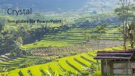  Presentation with java island - PPT theme enhanced with green-rice-fields-in-java background and a light blue colored foreground