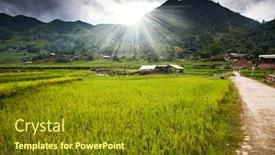  Presentation with rice fields - Cool new slide set with green rice fields in ta phin village sa pa vietnam backdrop and a tawny brown colored foreground