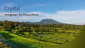  Presentation with rice - Amazing PPT layouts having green-rice-terrace-and-ricefield backdrop and a light blue colored foreground