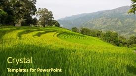  Presentation with sri lanka - Theme with green-rice-terrace-on-sri background and a tawny brown colored foreground