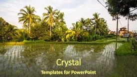  Presentation with rice terraces - Slide deck with green rice terraces on bali background and a tawny brown colored foreground