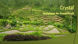  Presentation with organic rice - Colorful presentation theme enhanced with green rice terraces on bali backdrop and a tawny brown colored foreground