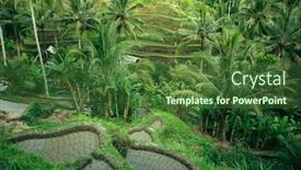  Presentation with rice terraces - PPT theme featuring green-rice-terraces background and a tawny brown colored foreground