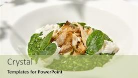  Presentation with green plate - PPT theme with green-risotto-with-squid background and a mint green colored foreground
