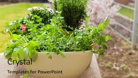  Presentation with green roof - Amazing presentation theme having green roof - gardening - plants with flowers backdrop and a coral colored foreground